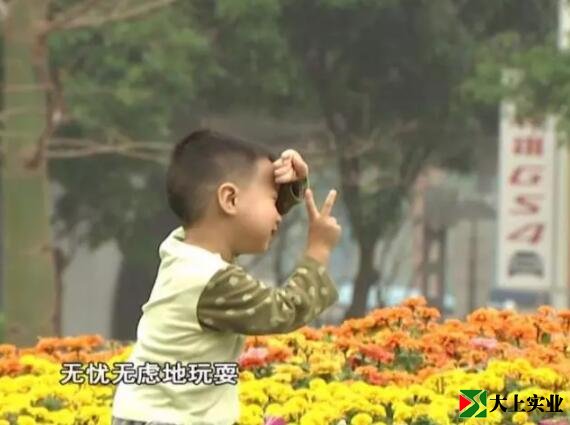 小朋友在運動(dòng)主題公園玩耍