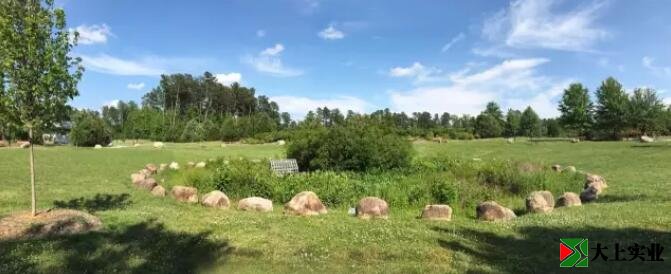 圖1 社區公園中有起伏的自然場(chǎng)地