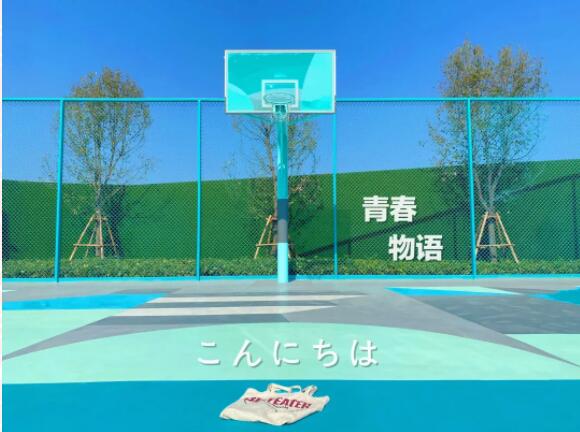創(chuàng  )意籃球場(chǎng)設計案例